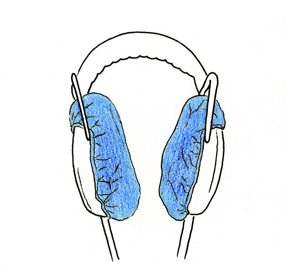 [Pearltec] Cover Headphones, 100 pcs